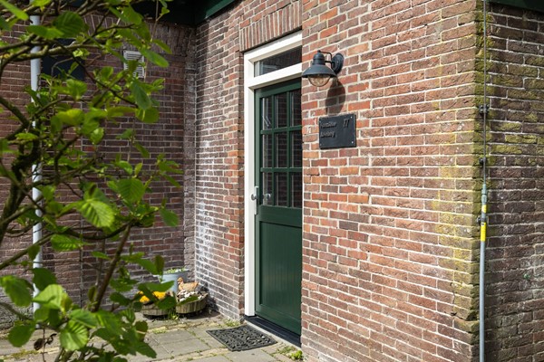 FotovanDana-Wollegras 77-2.jpg